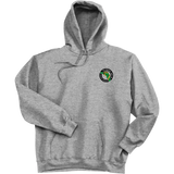 Florida Eels Ultimate Cotton - Pullover Hooded Sweatshirt