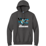 Boca Barracudas Essential Fleece Pullover Hooded Sweatshirt